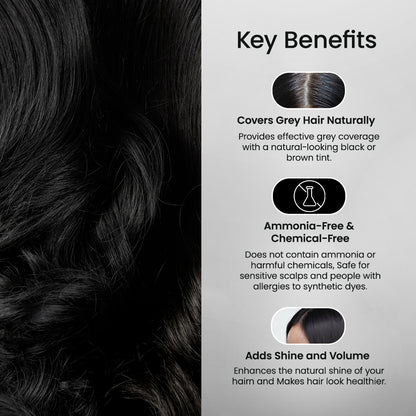 Shahnaz Husain Colourveda Natural Hair Colour (BLACKISH BROWN) X Pack of 2